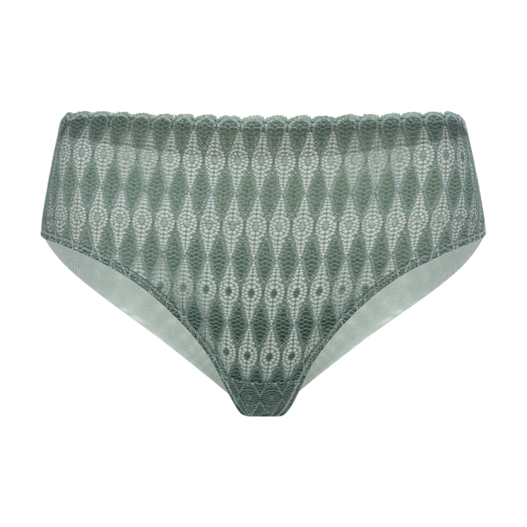 Megami Adaptive AW24-25 Sea Spray Flat Lace Brief | The Bra Sisters